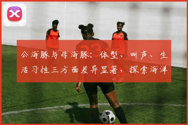 公海豚与母海豚：体型、叫声、生活习性三方面差异显著，探索海洋智慧
