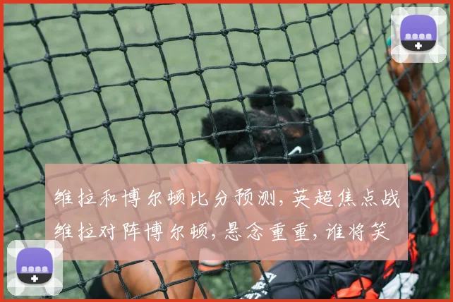 维拉和博尔顿比分预测,英超焦点战维拉对阵博尔顿,悬念重重,谁将笑到最后