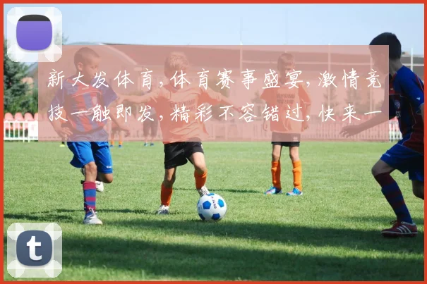 新大发体育,体育赛事盛宴,激情竞技一触即发,精彩不容错过,快来一睹为快